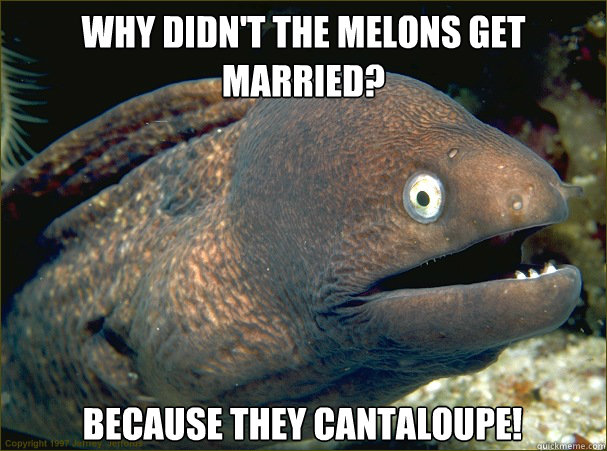 Why didn't the melons get married? because they cantaloupe!  Bad Joke Eel