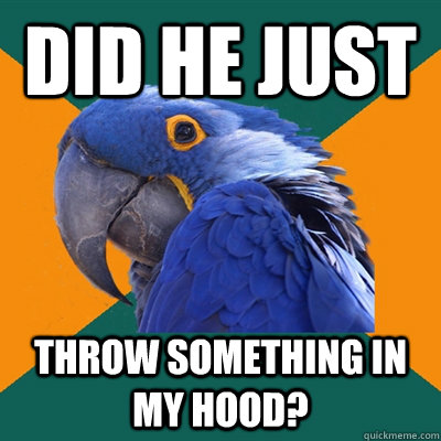 did he just throw something in my hood?  Paranoid Parrot