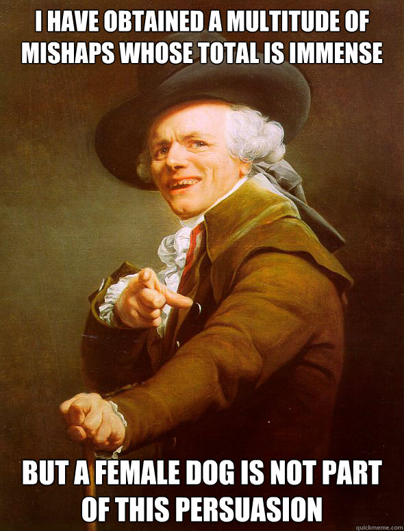 I have obtained a multitude of mishaps whose total is immense but a female dog is not part of this persuasion   Joseph Ducreux