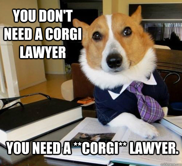 You don't need a corgi lawyer You need a **corgi** lawyer.   Lawyer Dog