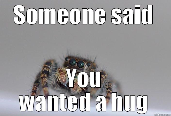 Huggable spider  - SOMEONE SAID YOU WANTED A HUG Misc