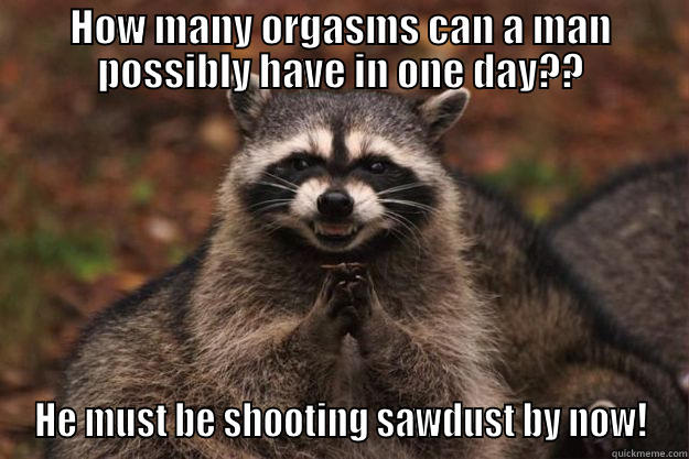 HOW MANY ORGASMS CAN A MAN POSSIBLY HAVE IN ONE DAY?? HE MUST BE SHOOTING SAWDUST BY NOW! Evil Plotting Raccoon