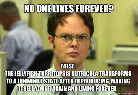 No one lives forever? False.
the jellyfish Turritopsis nutricula transforms to a junivinile state after reproducing, making itself young again and living forever.  Dwight