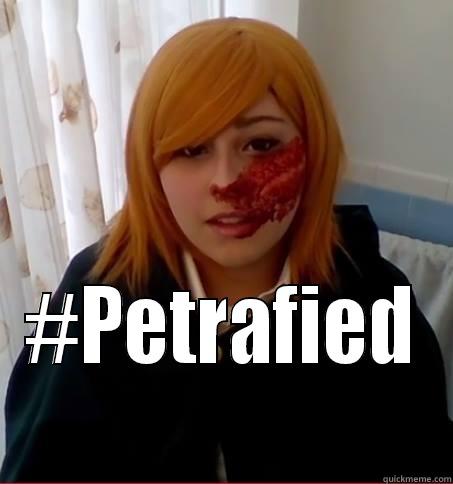  #PETRAFIED Misc