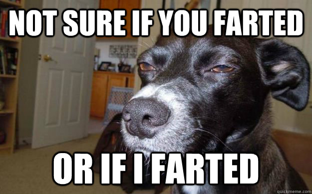 Not sure if you farted or if i farted  Skeptical Mutt