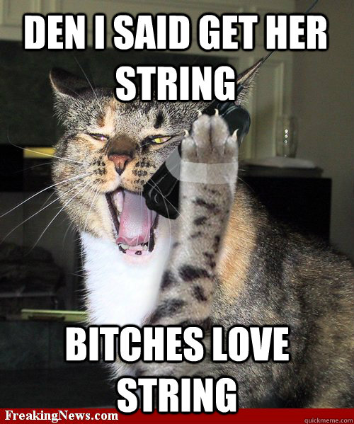 DEN I SAID GET HER STRING  BITCHES LOVE STRING   String