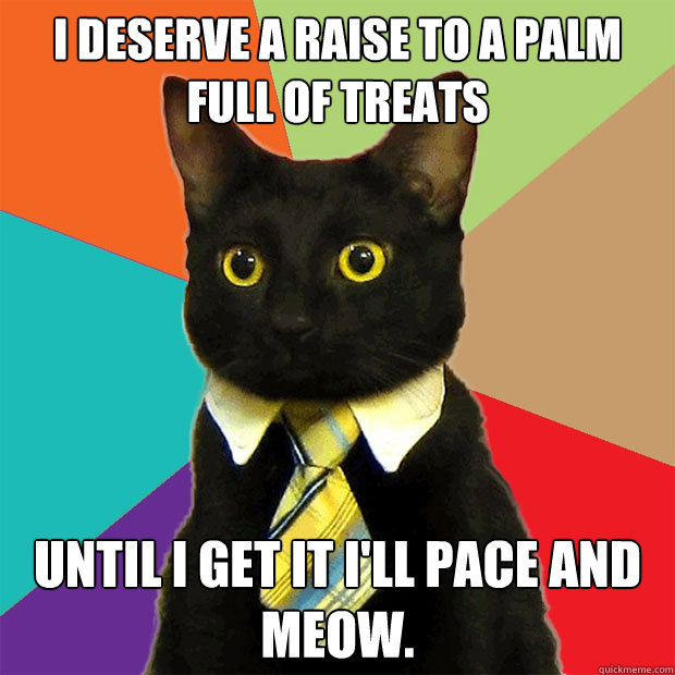 I deserve a raise to a palm full of treats until i get it i'll pace and meow.  Business Cat