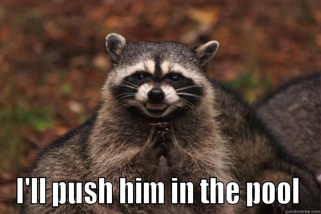  I'LL PUSH HIM IN THE POOL Evil Plotting Raccoon