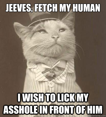 Jeeves, fetch my human I wish to lick my asshole in front of him  Aristocat