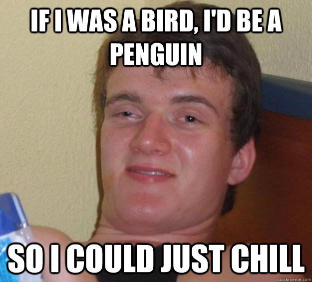 If I was a bird, I'd be a penguin So i could just chill  10 Guy