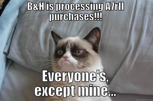 grumpy cat camera owner - B&H IS PROCESSING A7RII PURCHASES!!! EVERYONE'S, EXCEPT MINE... Grumpy Cat