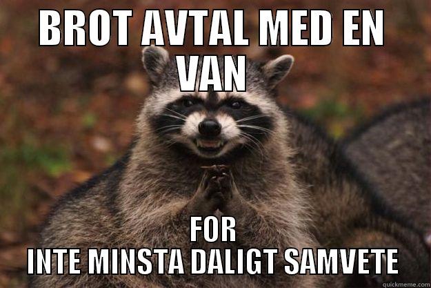 BROT AVTAL MED EN VAN FOR INTE MINSTA DALIGT SAMVETE Evil Plotting Raccoon