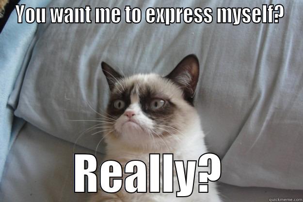 Grumpy Cat English class style - YOU WANT ME TO EXPRESS MYSELF? REALLY? Grumpy Cat