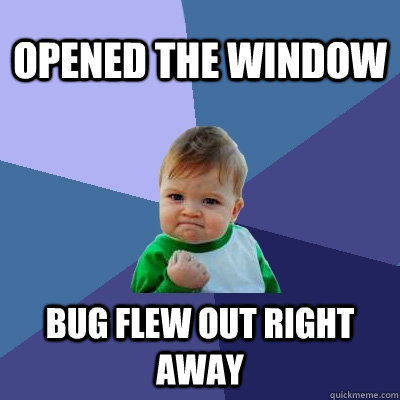 Opened the window Bug flew out right away - Opened the window Bug flew out right away  Success Kid