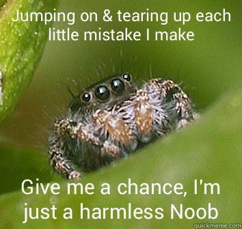 Jumping on & tearing up each little mistake I make Give me a chance, I'm just a harmless Noob  Misunderstood Spider