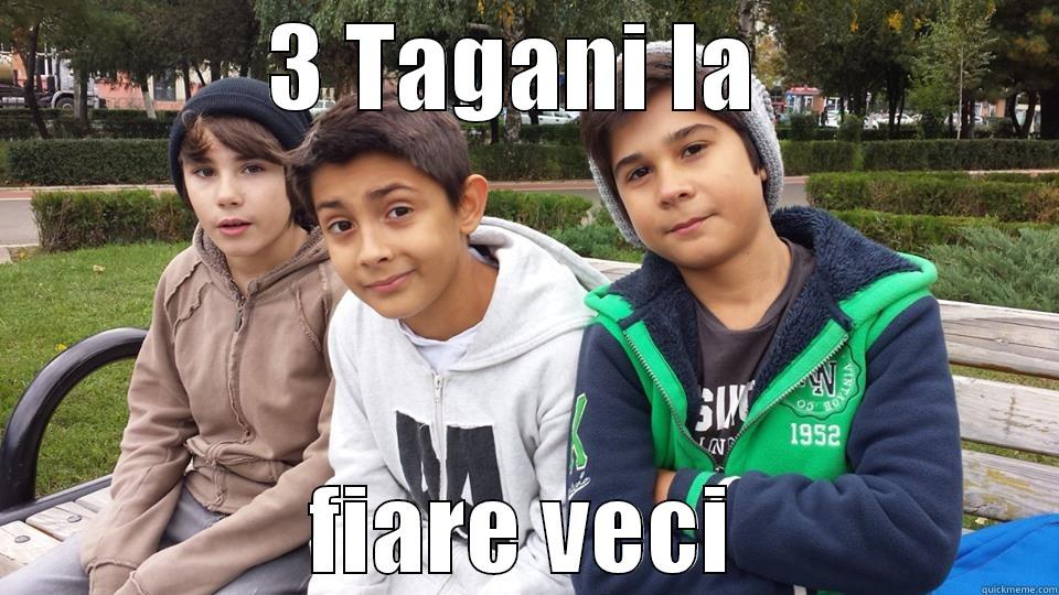 3 TAGANI LA  FIARE VECI Misc