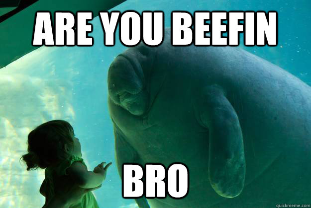 ARE YOU BEEFIN  BRo - ARE YOU BEEFIN  BRo  Overlord Manatee