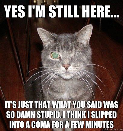 yes I'm still here... It's just that what you said was so damn stupid, I think I slipped into a coma for a few minutes - yes I'm still here... It's just that what you said was so damn stupid, I think I slipped into a coma for a few minutes  Sarcasticat