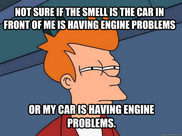 Not sure if the smell is the car in front of me is having engine problems Or my car is having engine problems.  Futurama Fry