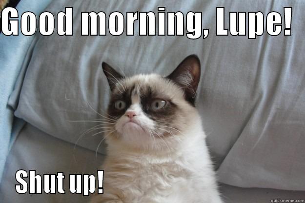 GOOD MORNING, LUPE!   SHUT UP!                                          Grumpy Cat