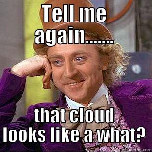 TELL ME AGAIN....... THAT CLOUD LOOKS LIKE A WHAT? Creepy Wonka