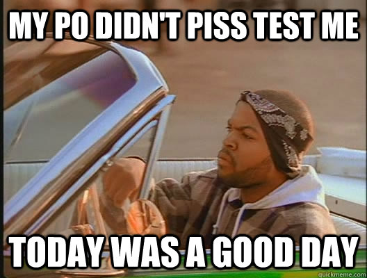 my po didn't piss test me Today was a good day  today was a good day