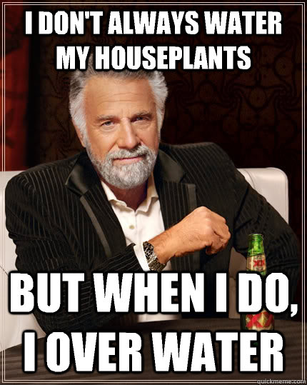 I don't always water my houseplants but when I do, I over water  - I don't always water my houseplants but when I do, I over water   The Most Interesting Man In The World