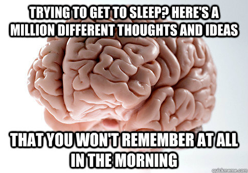 Trying to get to sleep? Here's a million different thoughts and ideas That you won't remember at all in the morning   Scumbag Brain