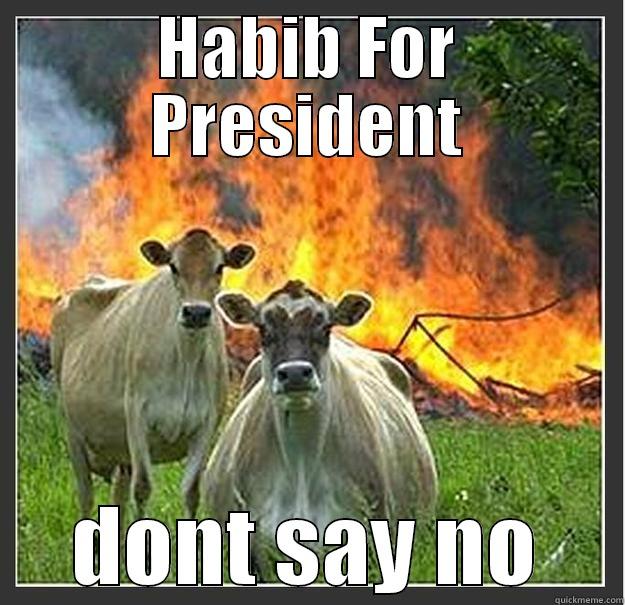 HABIB FOR PRESIDENT DONT SAY NO Evil cows