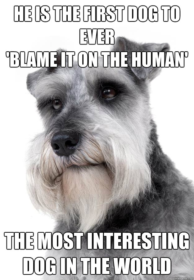 He is the first dog to ever 
'blame it on the human' The most interesting dog in the world  The Most Interesting Dog in the World