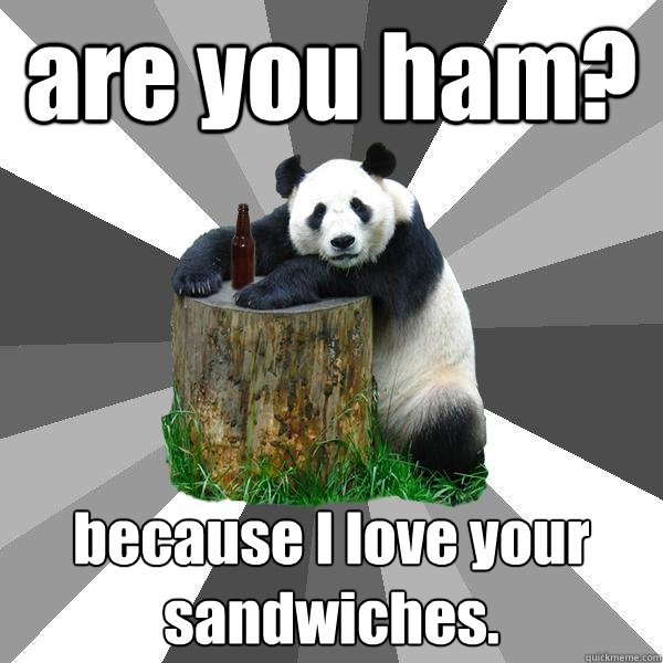 are you ham? because I love your sandwiches.  Pickup-Line Panda