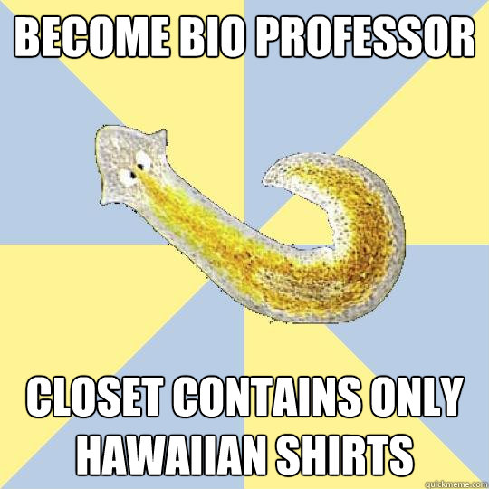 become bio professor closet contains only hawaiian shirts  Bio Major Planarian