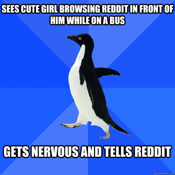 sees cute girl browsing reddit in front of him while on a bus  gets nervous and tells reddit  Socially Awkward Penguin