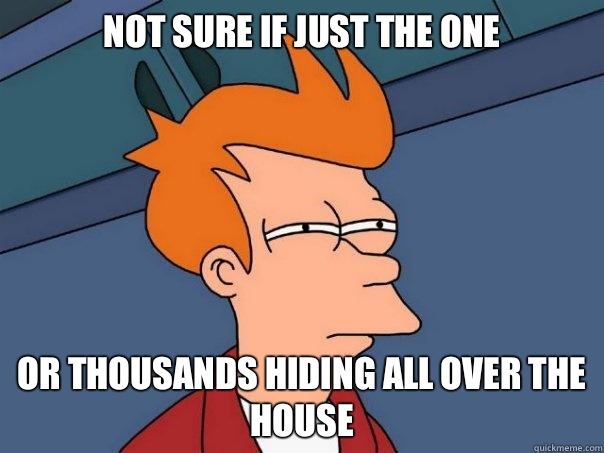 Not sure if just the one Or thousands hiding all over the house - Not sure if just the one Or thousands hiding all over the house  Futurama Fry