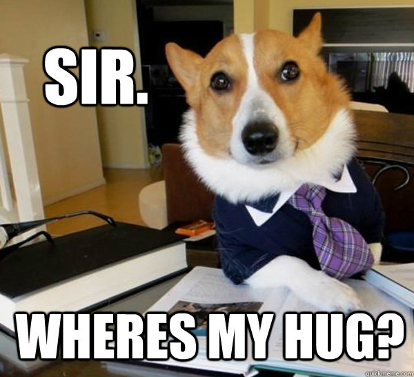 sir. wheres my hug?  Lawyer Dog