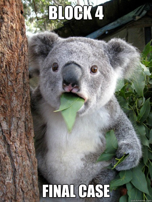 block 4 Final case  Shocked Koala