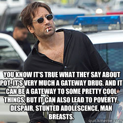  You know it's true what they say about pot, it's very much a gateway drug. And it can be a gateway to some pretty cool things, but it can also lead to poverty, despair, stunted adolescence, man breasts. -  You know it's true what they say about pot, it's very much a gateway drug. And it can be a gateway to some pretty cool things, but it can also lead to poverty, despair, stunted adolescence, man breasts.  Really Hank