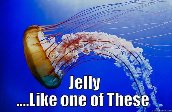  JELLY ....LIKE ONE OF THESE  Misc