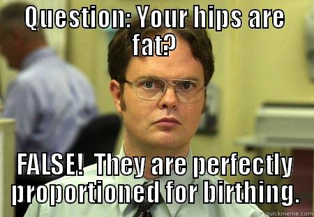 Girls, Dwight says we aren't fat! - QUESTION: YOUR HIPS ARE FAT? FALSE!  THEY ARE PERFECTLY PROPORTIONED FOR BIRTHING. Schrute