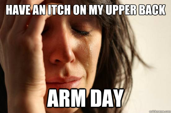 Have an itch on my upper back Arm Day - Have an itch on my upper back Arm Day  First World Problems