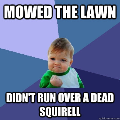 mowed the lawn didn't run over a dead squirell  Success Kid