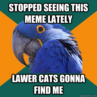 stopped seeing this meme lately lawer cats gonna find me - stopped seeing this meme lately lawer cats gonna find me  Paranoid Parrot