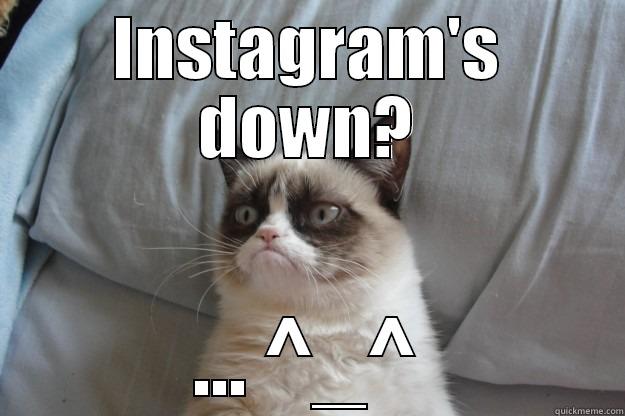 Grumpy Cat - INSTAGRAM'S DOWN? ... ^_^ Grumpy Cat