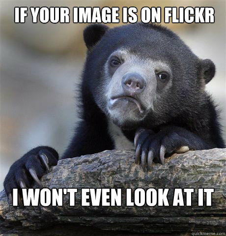 If your image is on Flickr I won't even look at it - If your image is on Flickr I won't even look at it  Confession Bear