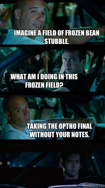 Imagine a field of frozen bean stubble. what am i doing in this frozen field? taking the optho final without your notes.  Fast and Furious