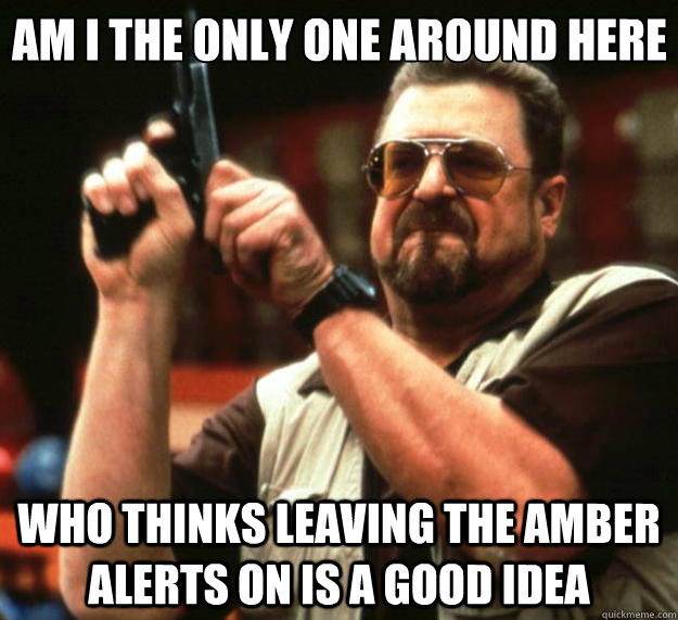 Am I the only one around here who thinks leaving the amber alerts on is a good idea  Big Lebowski