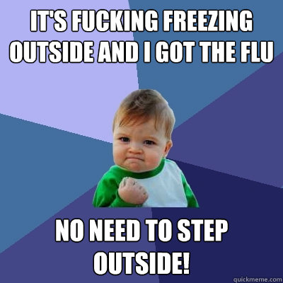 it's fucking freezing outside and i got the flu no need to step outside!    Success Kid