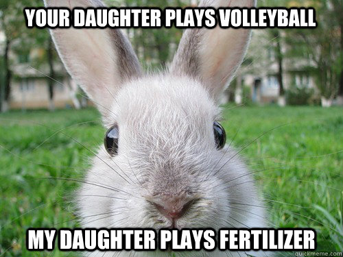 Your daughter plays volleyball My daughter plays fertilizer  