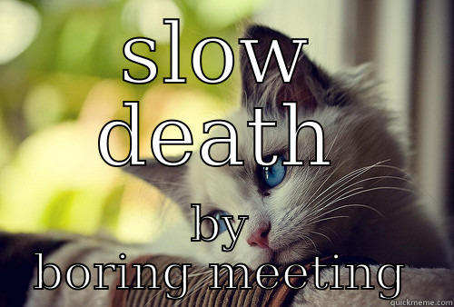 slow death - SLOW DEATH BY BORING MEETING First World Problems Cat