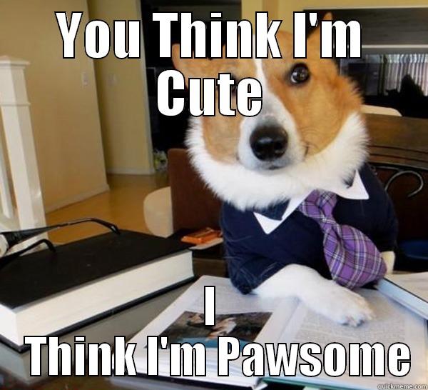 YOU THINK I'M CUTE I   THINK I'M PAWSOME Lawyer Dog